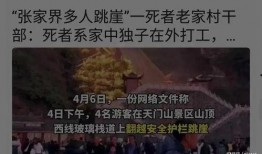 丙尔金最新惊天爆料续
