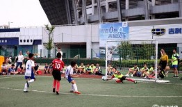 足球爆料今天最新消息,最新爆料揭示今日足坛热点动态